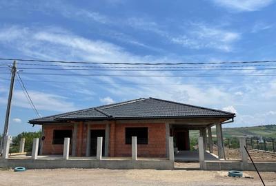 Casa la rosu+teren ST:1800 mp*Pestisu Mare-Deva-Hunedoara+casa veche ! - 1