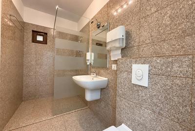 2 camere  Central  Renovat complet  Garaj + Boxă  Centrala+incalzire pardoseala - 10