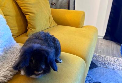 *SHORT TERM RENTAL* AM097 - INDUSTRIAL STYLE APARTMENT - 44