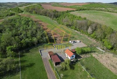 Casa de vacanta cu teren si padure de 3.8ha | Nadas | Herneacova - 3