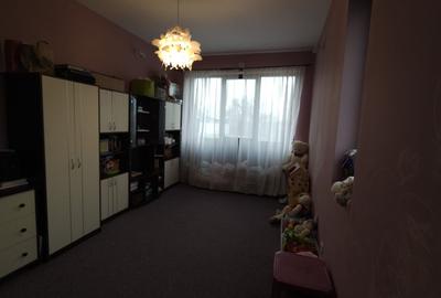Vila individuala la 30 km de Timișoara - 16