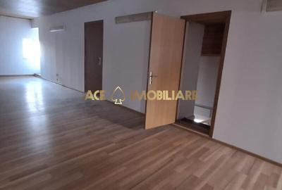 Casă individuală cu 9 camere în Vitan