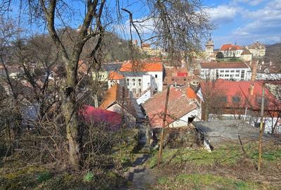 Casă/pensiune în exclusivitate, de vânzare, Sighisoara - 25