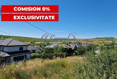 Teren cu proiect de casa in Chinteni - 3