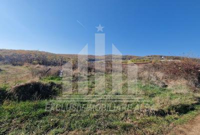Teren intravilan | De vanzare | 3900 mp | 17 ml deschidere | Cetate - 2
