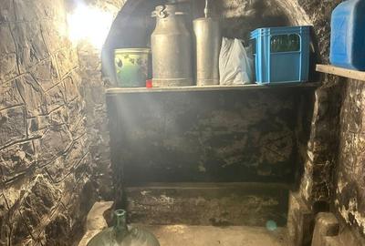 Singura casa de vanzare pe str.Mircea Voda cu 1500 mp ! - 25