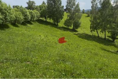 Teren de poveste, intru-un sat de poveste Pestera/Moeciu/Brasov - 7