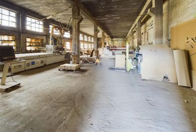 Hala industriala de inchiriat + Teren - Lipova - 21