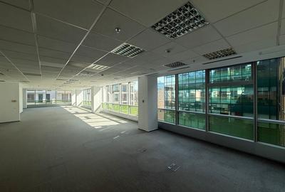 Spațiu de birouri de închiriat – 773 mp | - 1