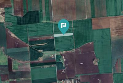 Teren 30.000 mp cu acces asfaltat – Peciu Nou - 3