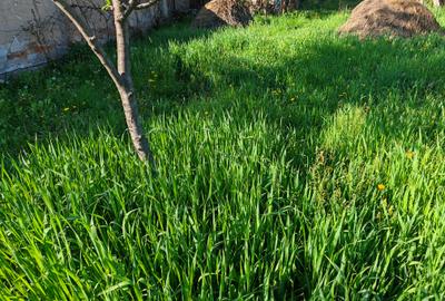 Teren rezidential intre case zona Mihai Eminescu - 4