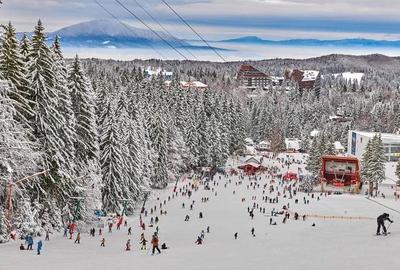 Teren intravilan cu PUZ Poiana Brasov - 4