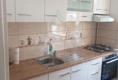 Apartament 2 camere complet mobilat parter 50 mp utili zona Terezian - 5