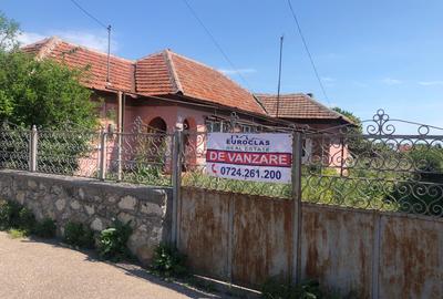 Teren Construcții intravilan de 1188 mp, în Palazu Mare