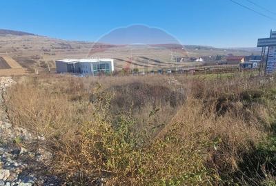 Teren pentru hala industriala/ Valcele / DN E60 - 4