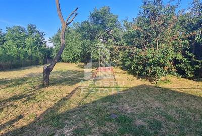 Casa individuala de vanzare cu teren de 2000 mp, Fratelia, Timisoara - 4
