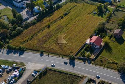 Teren intravilan | 20500 mp | PUZ | multiple destinatii | Stupini - 7