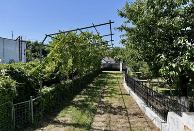 Vila Manastirea Snagov - 2