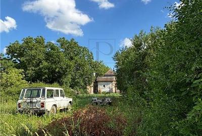 Teren- MOSNITA VECHE- 612 mp - 2