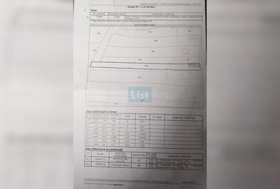 Casa + teren 3.006 mp – intravilan + extravilan | Preajba Mare - 2