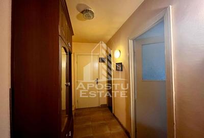 Apartament 4 camere de vanzare, zona Take Ionescu, Timisoara - 17