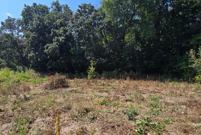 Loc de casa  langa padure - 2