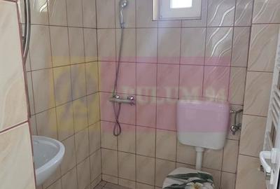 Vila de vânzare cu 8 camere și garaj in Busteni - 33