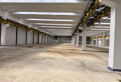Spațiu industrial, 5493 mp în Mârșa