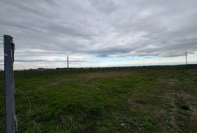 Teren de vânzare în Golești – 3 loturi a câte 530 mp - 2