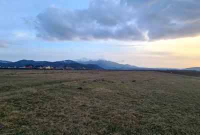 TEREN 1049 mp - INTRAVILAN DE CONSTRUCTII - 9