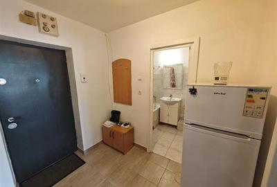 Inchiriem Garsoniera Mobilata, Decomandata, Racadau - 6