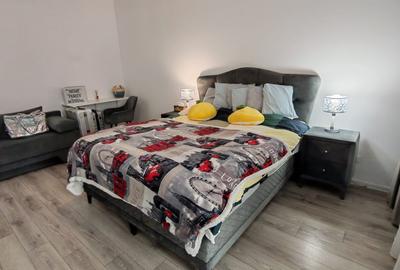 Garsoniera decomandata 42 Mp -Regie Residence-Grozavesti - 2