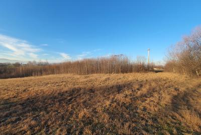 Teren intravilan Bran – Sohodol zona de case - 7