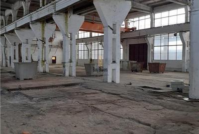 Spatiu Industrial - 1350 mp - Productie - Depozitare - Distributie - 35