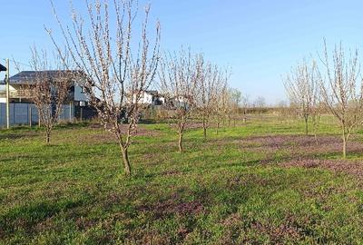 Teren parcelabil, intravilan, 6400mp cu casa renovata - ideal investitor - 1