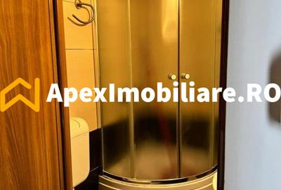 Apartament 2 camere de inchiriat Floreasca București | ApexImobiliare.ro - 9