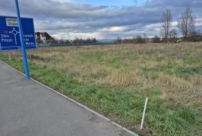 Teren intravilan  constructii stupini - 1