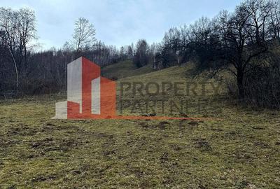 TEREN 11.500 MP + CASA AUTHENTICA ÎN BRAN – ȘIMON | VEDERE BUCEGI - 8