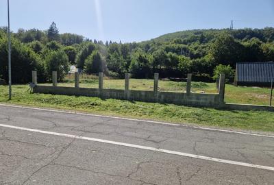 Vând teren extravilan Transfăgărășan - 4