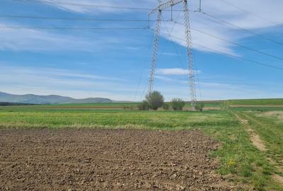 TEREN EXTRAVILAN LANGA FABRICA DE CHERESTEA Holzindustrie Schweighofer - RECI - 7