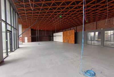 Spațiu comercial Calea Bucuresti - 3