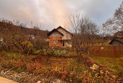 Casa Individuala Valea Jalnei 550mp teren - 3