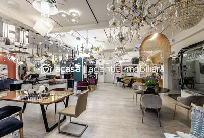 Hală industrială de vânzare 3495 mp zona Arad - 11