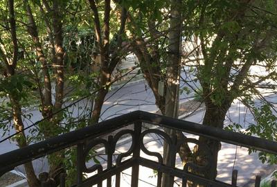 Ultracentral,vila S+P+E,faleza Dunarii,langa parc,Primaria Corabia,teren=1137mp - 16