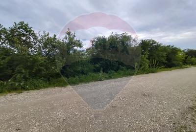 Teren 3,700mp Gulia/DN7 -20 km fata de Pta Victoriei -ideal investitie - 5