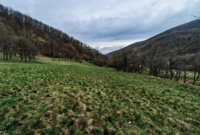 Casa cu teren 12000 + priveliște superbă - 1