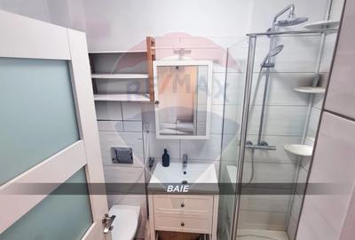 Apartament 3 camere, doua niveluri, compartimentare unica-Victor Babes - 16
