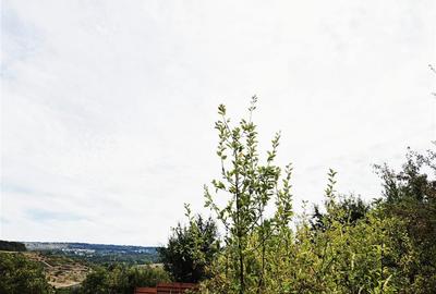 Teren pentru casa cu vedere frumoasa - 3