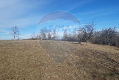 Teren 10,279 mp Bran- Predelut / Strada Pe Tarina nr. 70A - 13