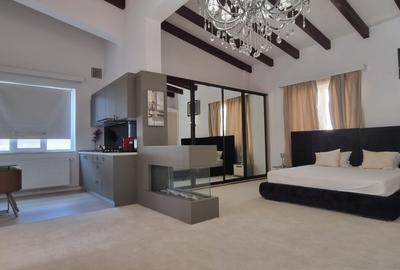 PENTHOUSE DUPLEX HERASTRAU MOBILAT SI UTILAT MODERN | LOC PARCARE - 26